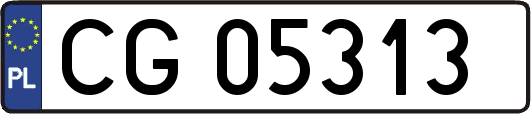 CG05313