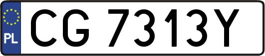 CG7313Y