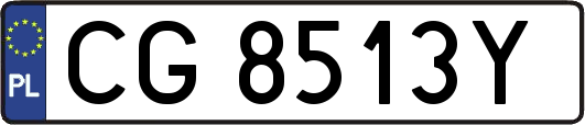 CG8513Y
