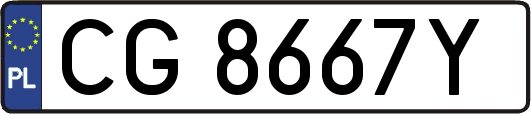 CG8667Y