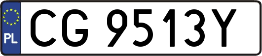 CG9513Y