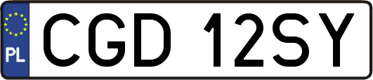 CGD12SY