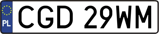 CGD29WM