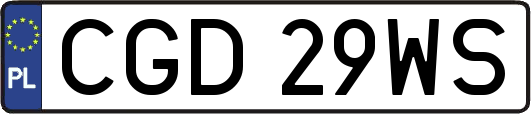 CGD29WS
