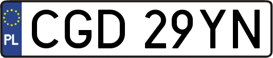CGD29YN