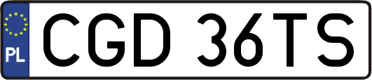 CGD36TS