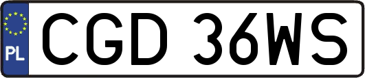 CGD36WS