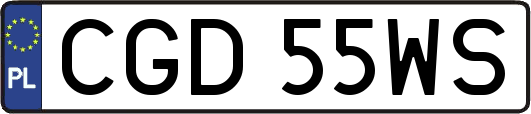 CGD55WS