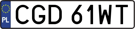CGD61WT