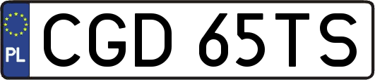 CGD65TS