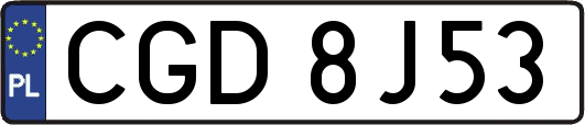 CGD8J53