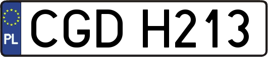 CGDH213