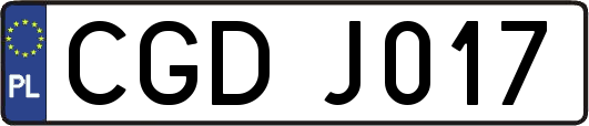 CGDJ017