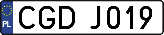 CGDJ019