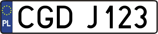 CGDJ123