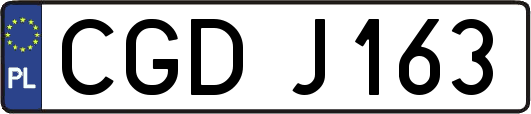 CGDJ163