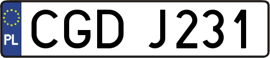 CGDJ231