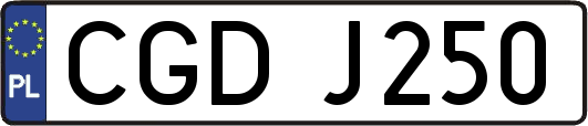 CGDJ250