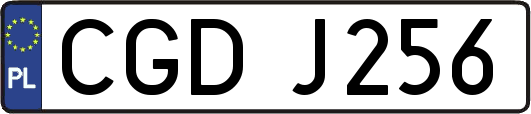 CGDJ256