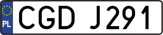 CGDJ291