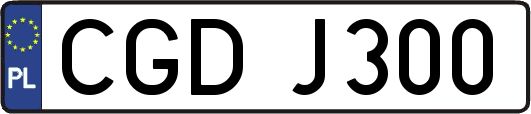 CGDJ300