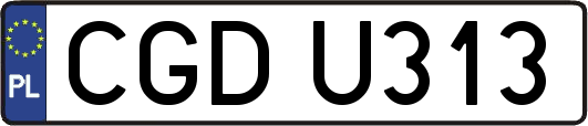 CGDU313
