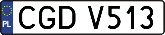 CGDV513
