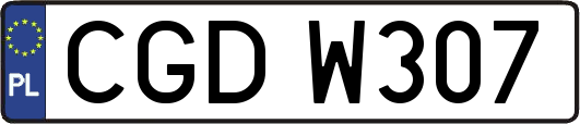 CGDW307