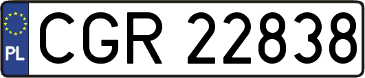 CGR22838