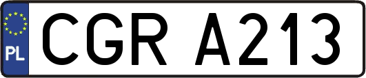 CGRA213