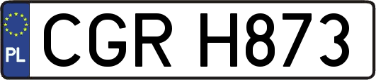 CGRH873