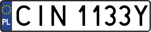 CIN1133Y