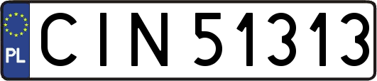 CIN51313