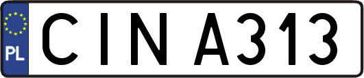 CINA313