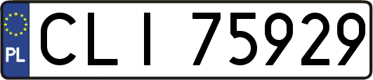 CLI75929