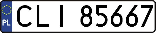 CLI85667