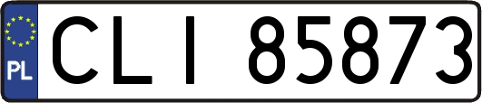 CLI85873