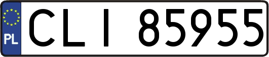 CLI85955