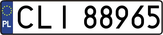 CLI88965