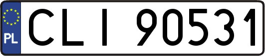 CLI90531