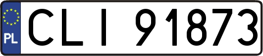 CLI91873