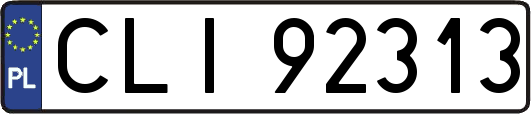 CLI92313