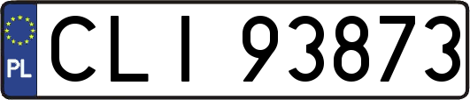 CLI93873