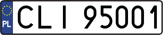 CLI95001