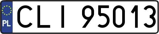 CLI95013