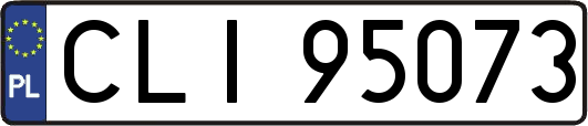 CLI95073
