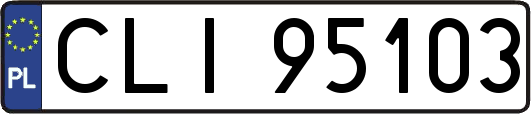 CLI95103