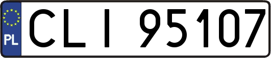CLI95107