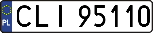 CLI95110