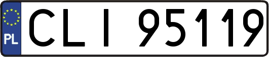 CLI95119